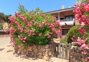Baia Del Faro
