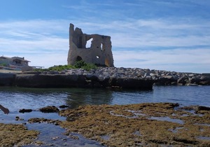 Holiday apartment Briatico for 1 - 2 persons with 1 bedroom - Holiday apartment