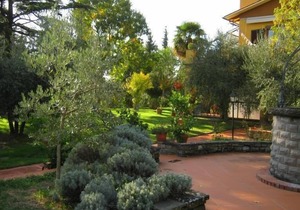 Holiday house Pian di Sco for 1 - 9 persons with 4 bedrooms - Twin house