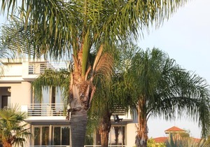 Hotel Barbarella