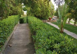 Le Palme di Riace 3