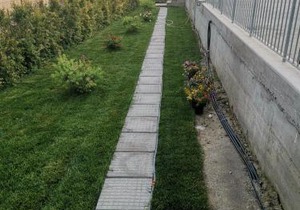 Le Palme di Riace 3
