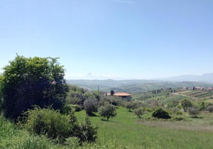 Locazione Turistica Lucio - TTE201