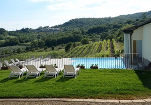Lovely apartment for 2 guests with pool, WIFI, TV and pets allowed, close to Arezzo
