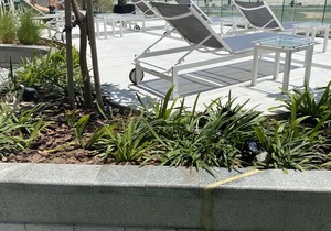 Luxurious 2 bedroom in the heart of Dubai