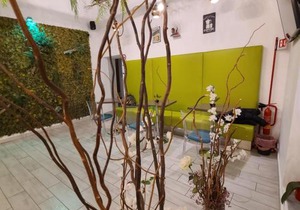 Napoli Centro Suite e Spa