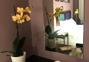 TreSette Toledo room 7