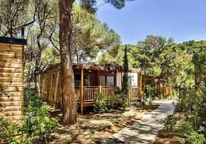 Vacation home Deluxe by Interhome