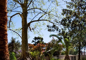 Villa Elisio Hotel & Spa