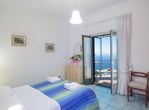Bouganvillea Furore | Furore