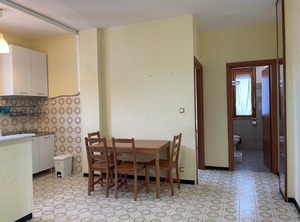 Ciclamini | Lido di Campomarino
