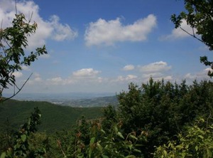 Casetta Ciliegi | Pieve di Chio