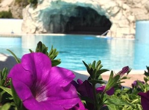 La Perla Del Porto | Santa Teresa di Gallura