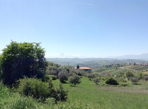 Lucio | Tortoreto