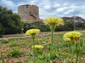 Rena Bianca | Santa Teresa di Gallura