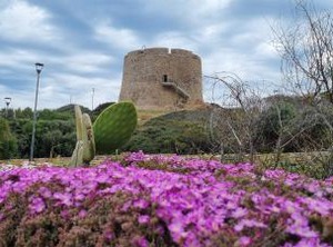 Rena Bianca | Santa Teresa di Gallura