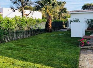 Villa Sul Mare Rosa Marina | Rosa Marina