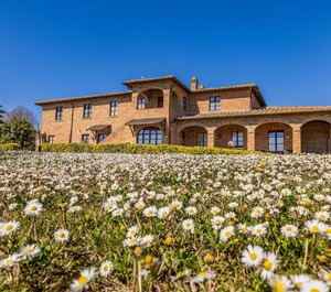 Tigli Montepulciano 
