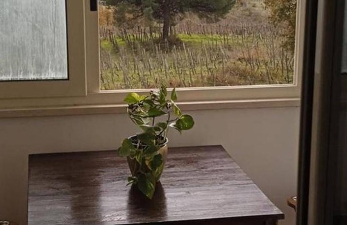 Boscotrecase House | 20 m² Farmhouse ∙ 2 guests