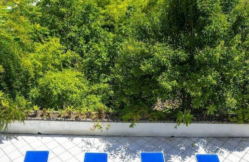 Ischia Porto Hotel | 23 m² Hotel ∙ 127 guests