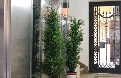 Santa Maria Capua Vetere Bed & Breakfast | 24 m² Bed and breakfast ∙ 3 guests