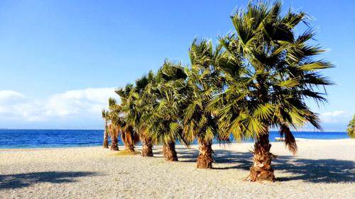 Reggio Calabria Hostel | 26 m² Hostel ∙ 4 guests