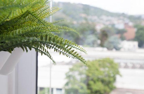 Fuorigrotta Bed & Breakfast | 47 m² Bed and breakfast ∙ 4 guests