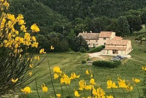Cagli Apartment | 50 m² Apartment ∙ 1 bedroom ∙ 2 guests