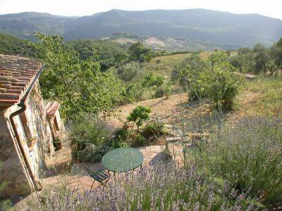 Arcidosso Apartment | 60 m² Apartment ∙ 2 bedrooms ∙ 3 guests