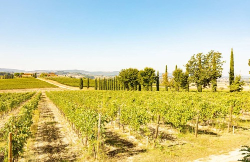 Santarello House | 60 m² Farmhouse ∙ 1 bedroom ∙ 2 guests