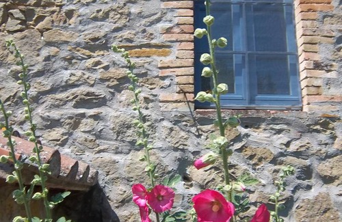 Collesanto Apartment | 75 m² Apartment ∙ 2 bedrooms ∙ 6 guests