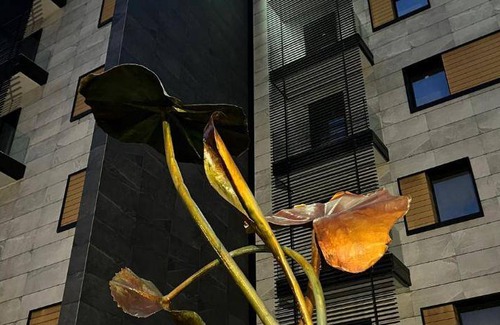 Cicciano Hotel | 80 m² Hotel ∙ 4 guests