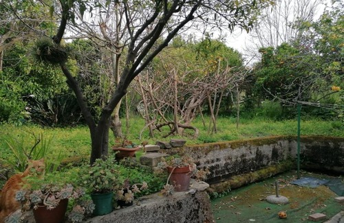 Ischia Porto Apartment | Al Giardino