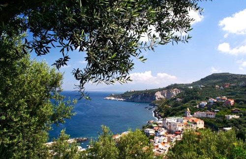 Marina del Cantone Apartment | Apartment A 1 by Interhome