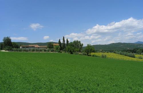 Motina Apartment | Appartamenti con cucina nelle colline toscane