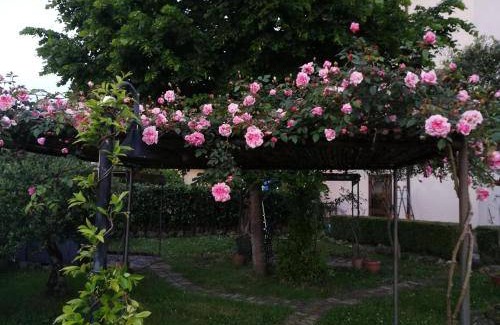 Viggianello Bed & Breakfast | Bed and breakfast ∙ 4 guests