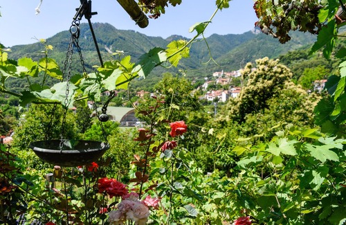 Tramonti Other | Bed& breakfast Il Tintore Amalfi Coast Sunsets