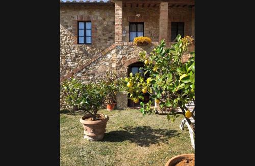 Quercegrossa House | Casalgallo