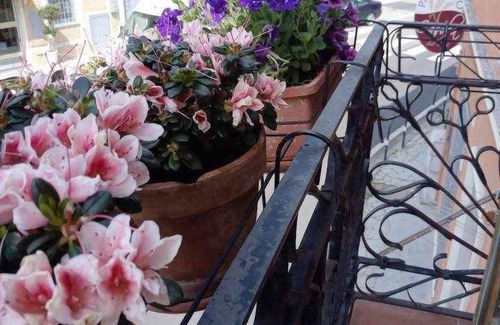 Olbia City Centre Apartment | Cozy rooms to rent in Olbia City Center