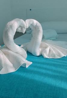 Torre Annunziata Bed & Breakfast | Garden green da VIRNA