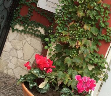 Arenella Bed & Breakfast | Giardino Eden B&B