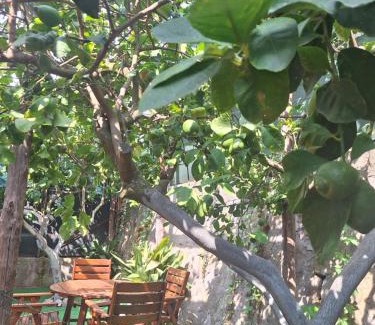 Sant'Agnello Apartment | Grazia's Home