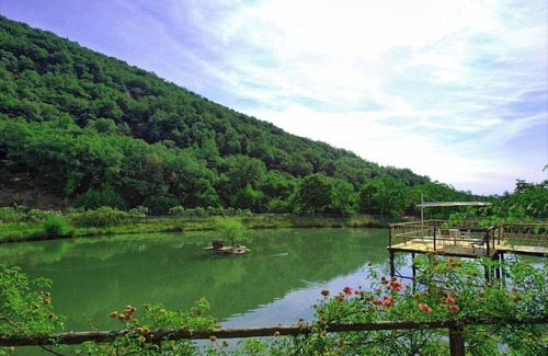 Figline e Incisa Valdarno Other | AGRITURISMO FATTORIA CELLE