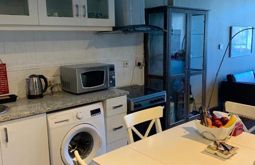Motor City Apartment | Motown Apartment Motorcity