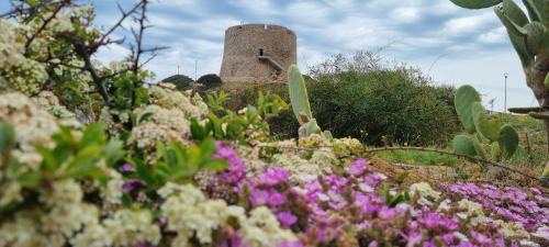 Santa Teresa di Gallura Apartment | Rena Bianca 4