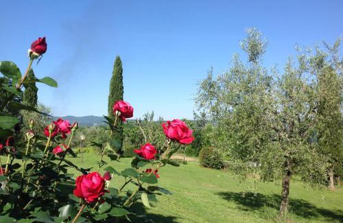 Reggello Apartment | Terre Di San Gorgone