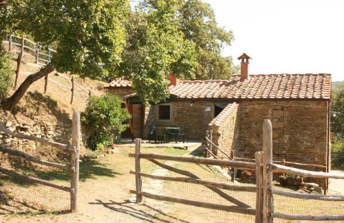Arezzo Villa | Tribbiano