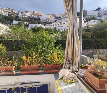 Capri Bed & Breakfast | U' Pizzico (the pinch)