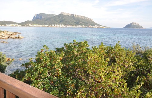 Baia Caddinas Apartment | VILLA DOLPHIN TERRACE ON THE SEA