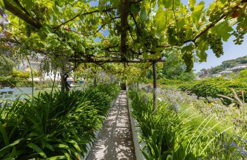 Capri House | Villa La Pergola Capri